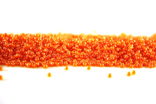 Бисер Япония 11/0 круглый 5 г 0957